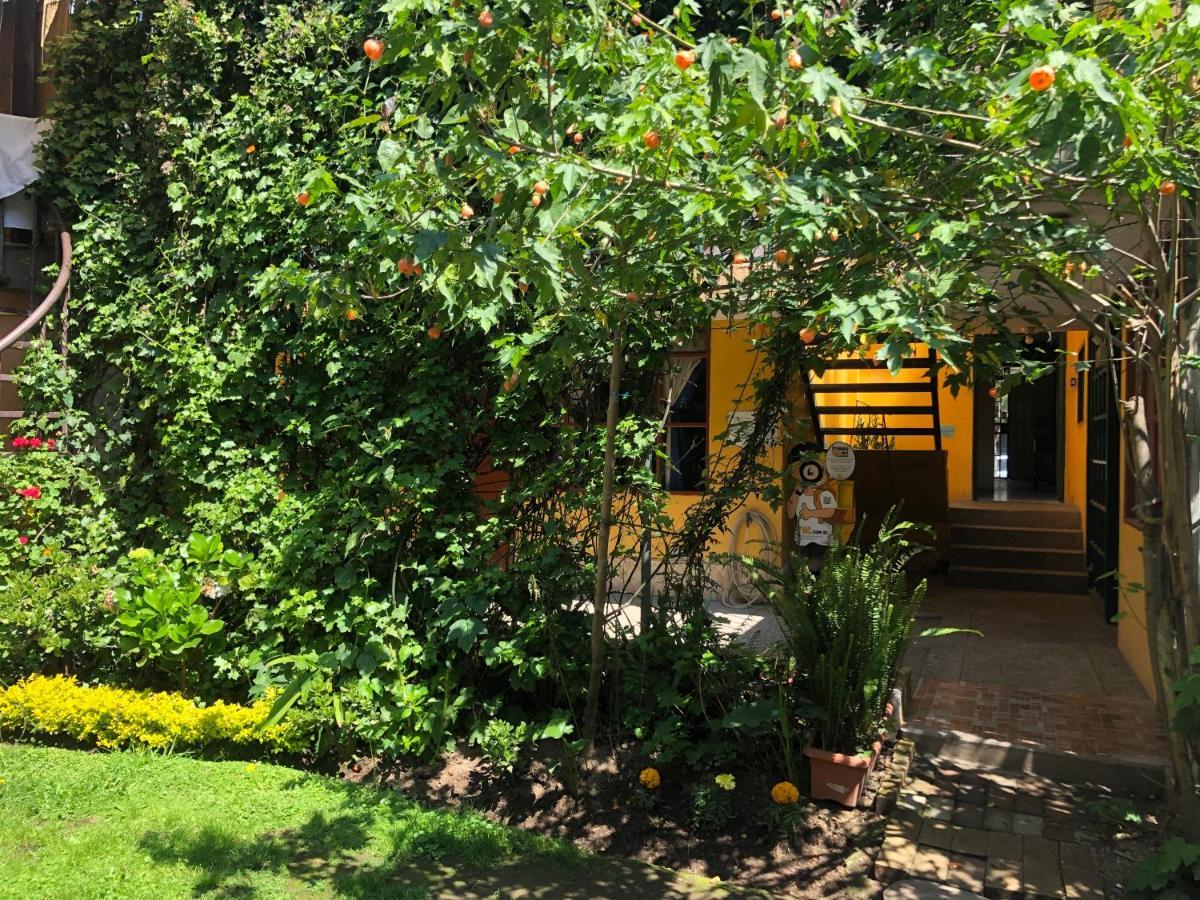 Hostal Alcala كويتو المظهر الخارجي الصورة