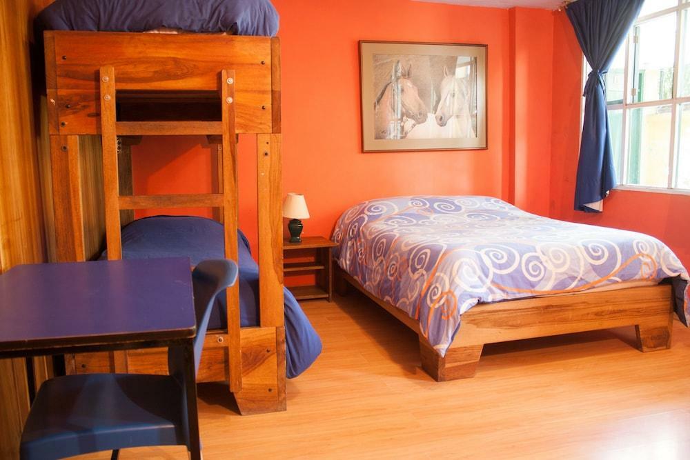 Hostal Alcala كويتو المظهر الخارجي الصورة
